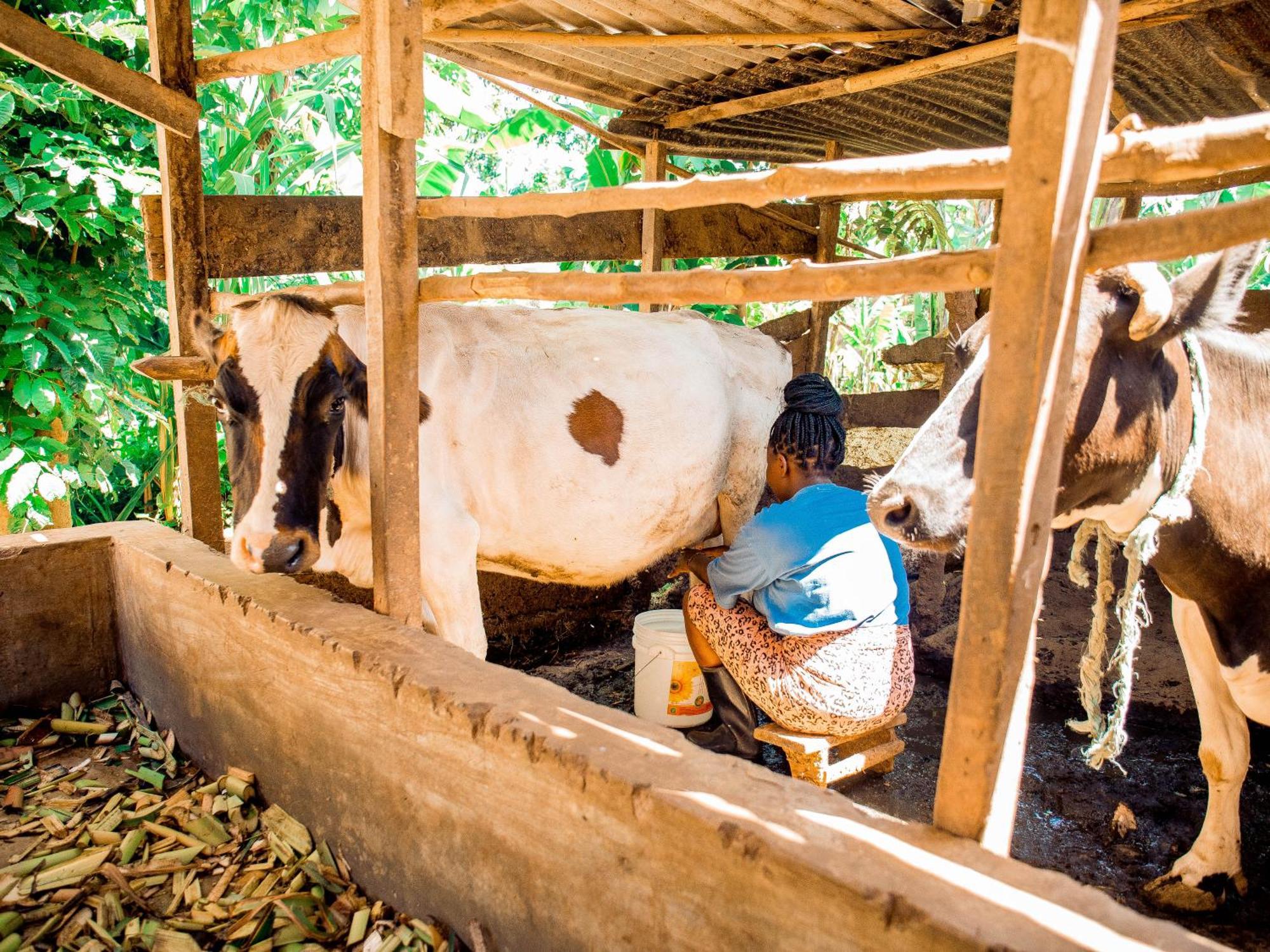 Arusha Jua Home エクステリア 写真